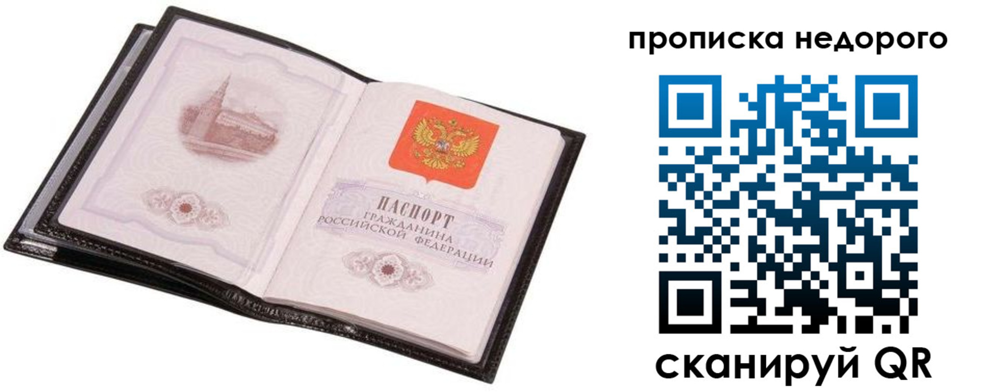 регистрация для школы в Фрязино